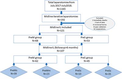 Closure of Iterative Laparotomy in Patients With Previous Mesh Reinforcement a Cohorts’ Study. Short-Term Results